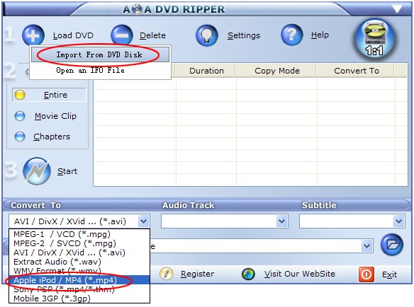 convert dvd to iPod
